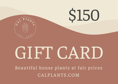 Gift Card for Plant Lovers